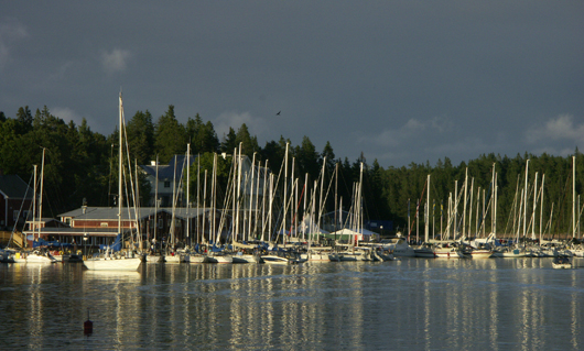 Segelbåtar i Ulvöhamn under regattan, med mörka moln över skogen