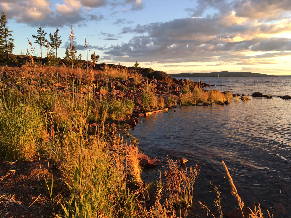 Röharns klippor i kvällssol med gräs i förgrunden
