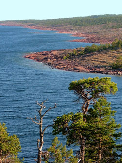 Röda klippor längs stranden och en vriden tall i förgrunden